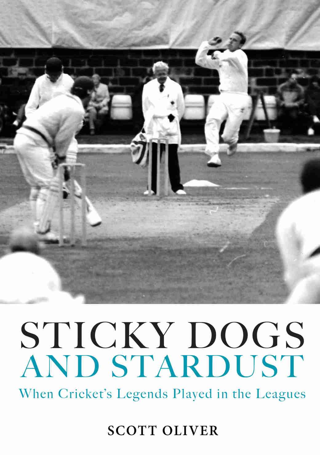 Sticky Dogs Cover