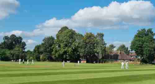 Wollaton Cricket Club-135783.jpeg